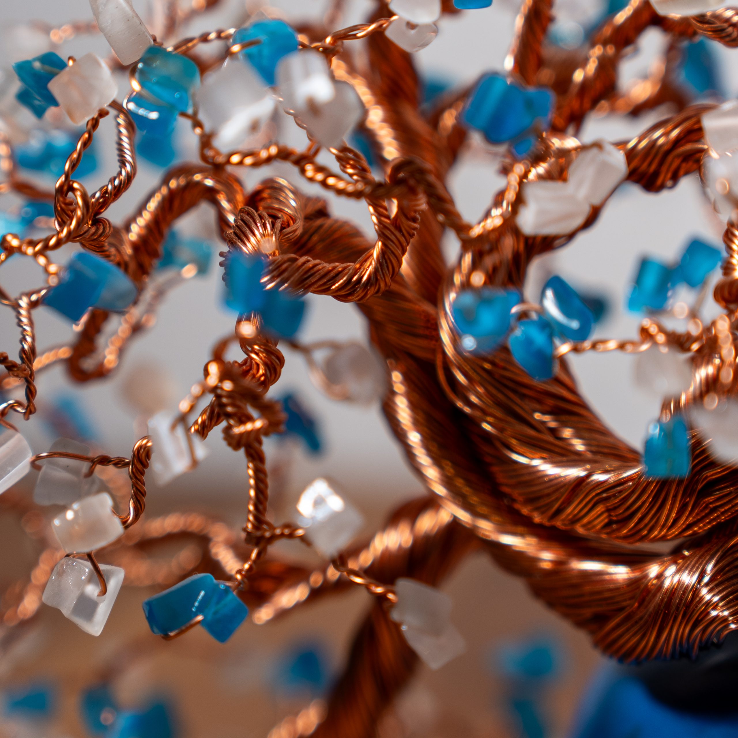 Cần Thơ – Bild 2