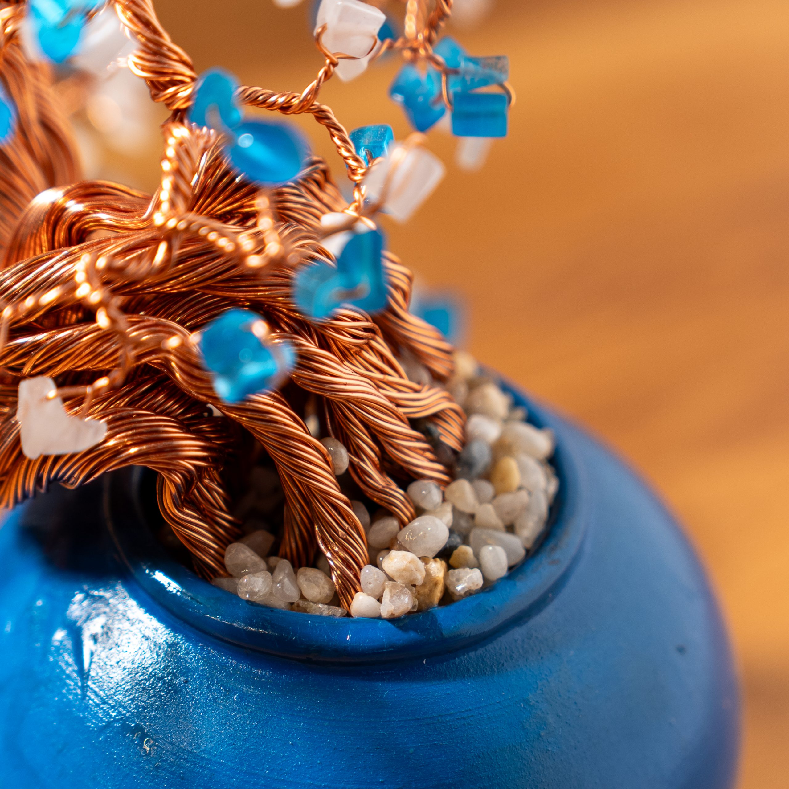 Cần Thơ – Bild 3