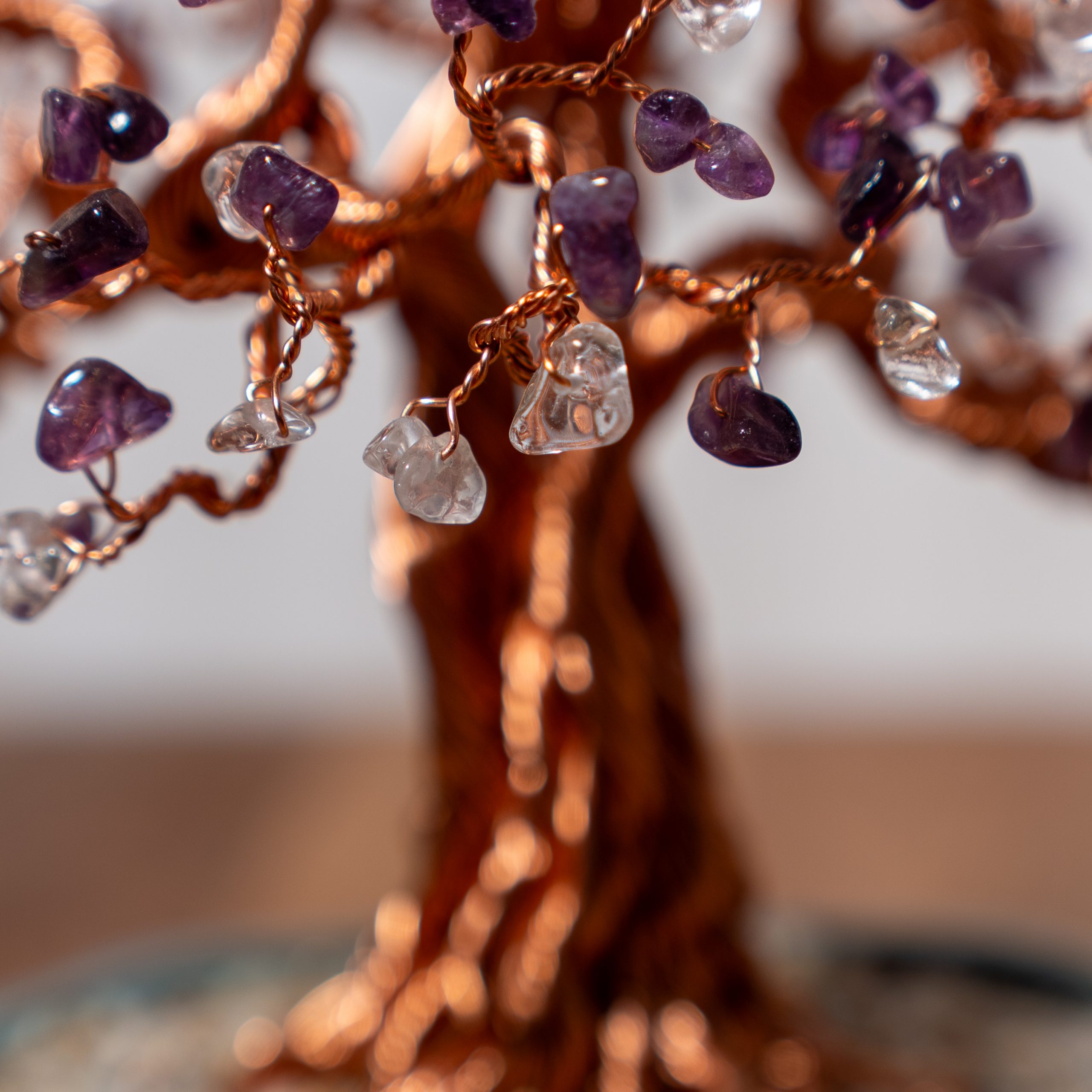 Nha Trang – Bild 5